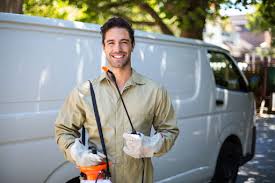 Emergency Pest Control Services in Socorro, NM